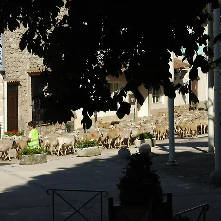 Frühstückspension Les Capitelles Du Caylar